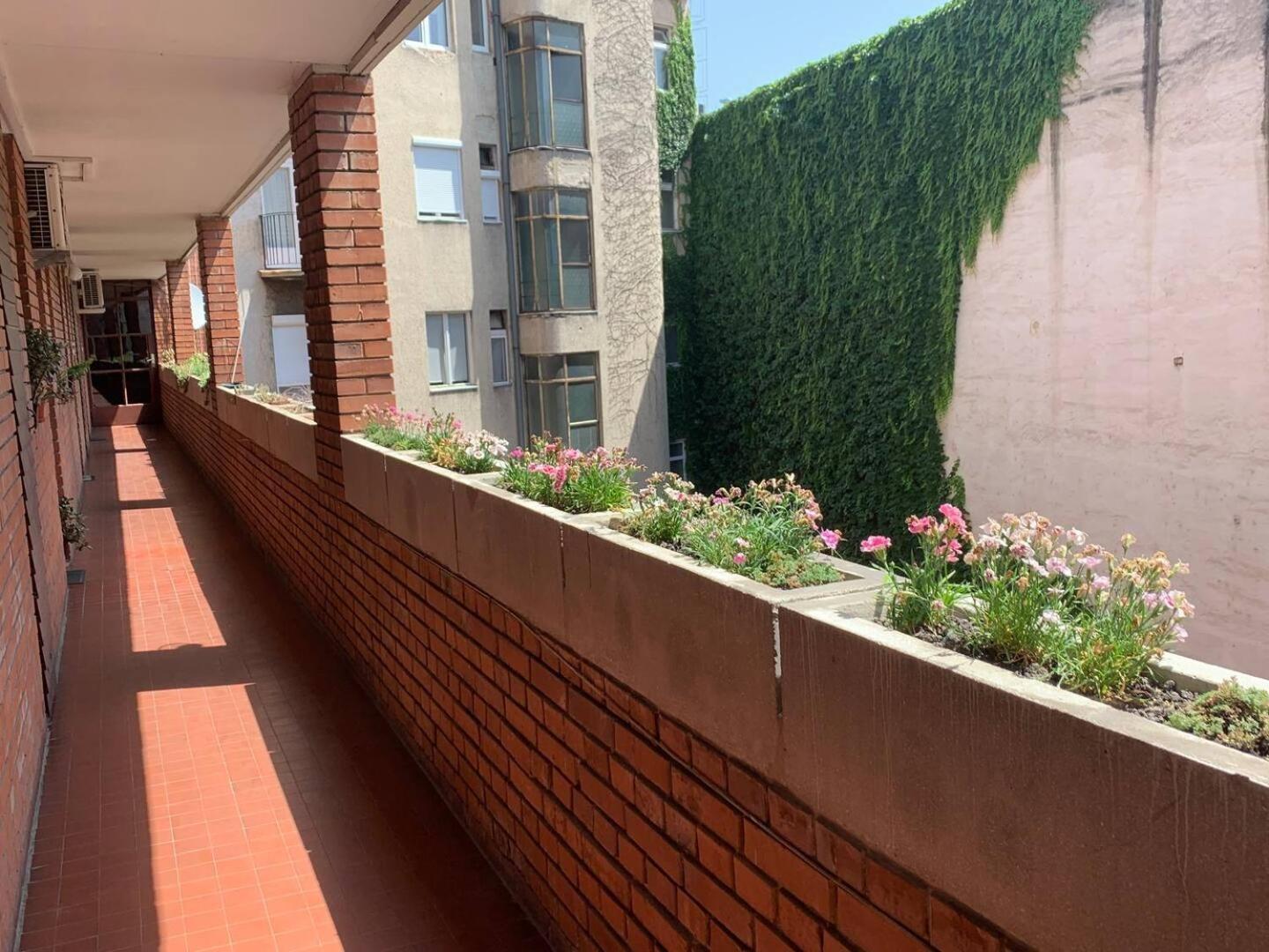 Flat White Apartment Budapest Ngoại thất bức ảnh